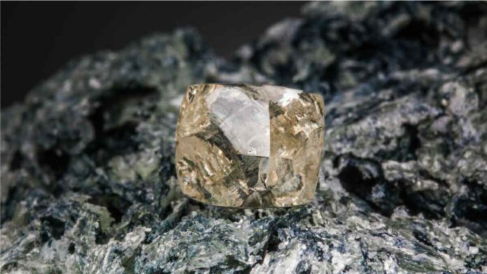 Kruger Diamond Traders successfully completes its first rough diamond tender in Dubai-UAE