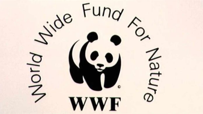 World Wildlife Fund publishes rating of openness of environmental information