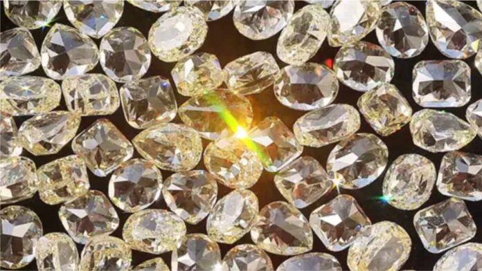 500 diamond parcels worth 1500 crores from abroad got stuck due to glitch in Icegate software