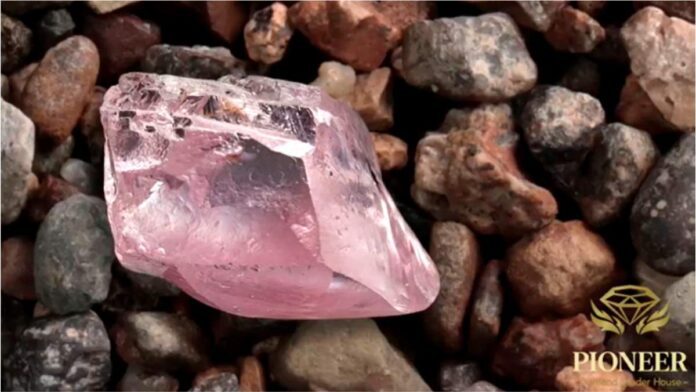 Rare 29.5 carat Protea Pink Diamond sold