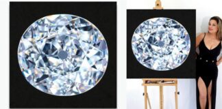 Reena Ahluwalia created a painting and NFT of the Kohinoor Diamond, a witness to 750 years of epic human history-1