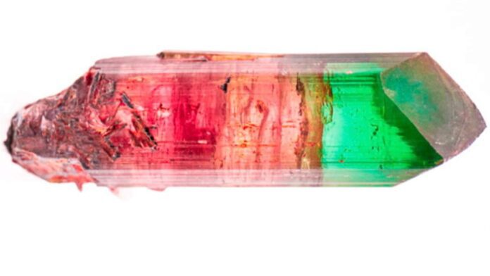 Double coloured tourmaline rough will be auctioned in November for the first time in the world