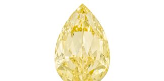 202-carat yellow diamond sold for 67 million dollar at Christies auction in Geneva