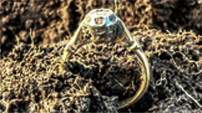 Engagement ring that lost 54 years ago has been found