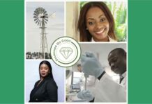 Diamonds Do Good selected 13 entrepreneurs to receive 100k dollar grant