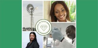 Diamonds Do Good selected 13 entrepreneurs to receive 100k dollar grant