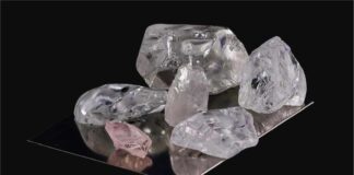 Special diamonds from 5 mines sold for 21-6 million dollar