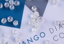 Okavango needs $300 million bank loan to expand diamond buying