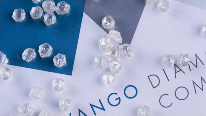 Okavango needs $300 million bank loan to expand diamond buying