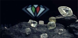 TAGS and Sodium sold diamond worth 6-5 million in Luanda tender