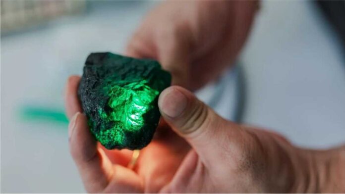 Grizzly fetches 22-4 million from Emerald auction