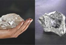 Lucara unveils names of 2488 and 1094 carat rough diamonds-1