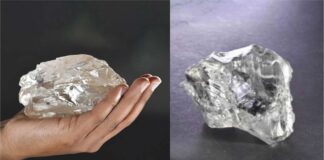 Lucara unveils names of 2488 and 1094 carat rough diamonds-1