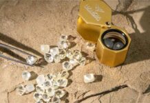 Armed robbers killed security officer and fled after stealing diamonds at Namdia