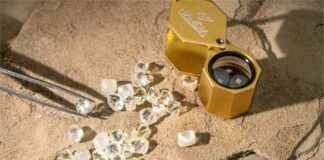 Armed robbers killed security officer and fled after stealing diamonds at Namdia