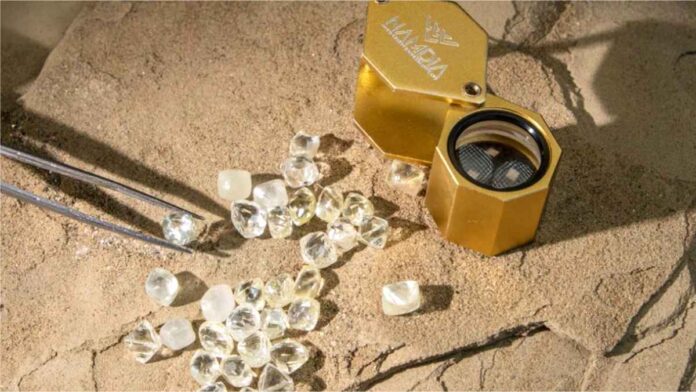 Armed robbers killed security officer and fled after stealing diamonds at Namdia