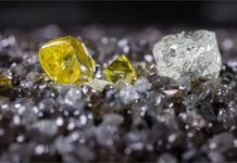 Burgundy Diamonds rough sales decline in fourth quarter