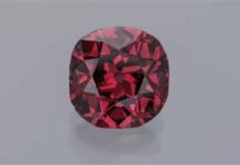 Extremely rare Winston Red Diamond added to Smithsonian National Museum-1