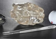 Several museums expressed interest in acquiring the 2488 carat rough diamond from Lucara